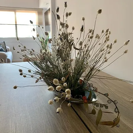 Flat In Centre - 5 Mins From Old Town And Train Station Apartment Girona